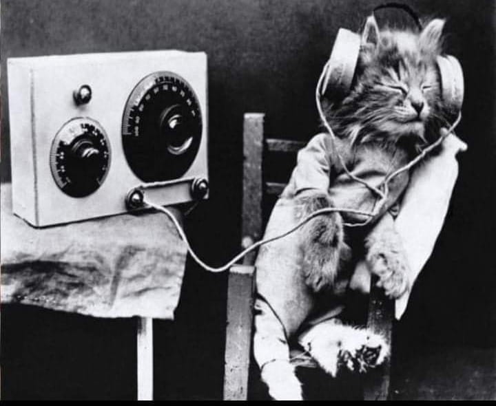 The Power of&nbsp;Music