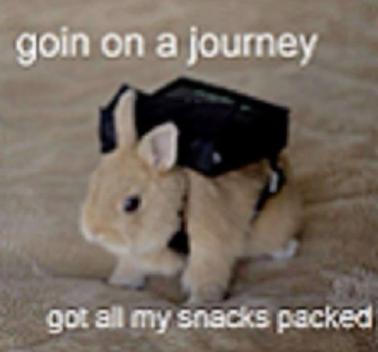 SO Much to say, so here I&nbsp;go…