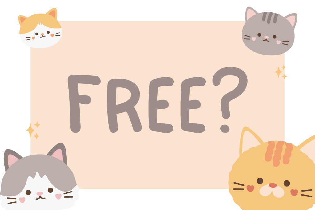 FREE DBT SKILLS&nbsp;FLASHCARDS!