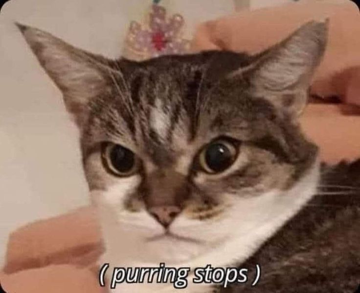 11 Things That Make Me Go&nbsp;AAAAAAAHHH!!!