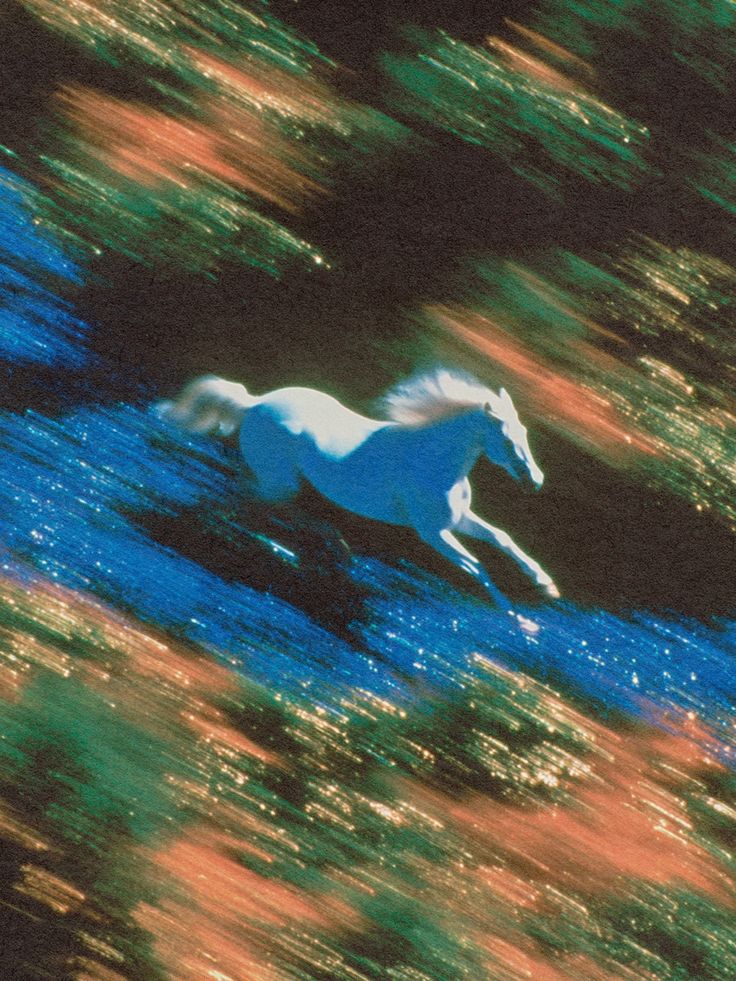 The Liberty that comes with&nbsp;Loss